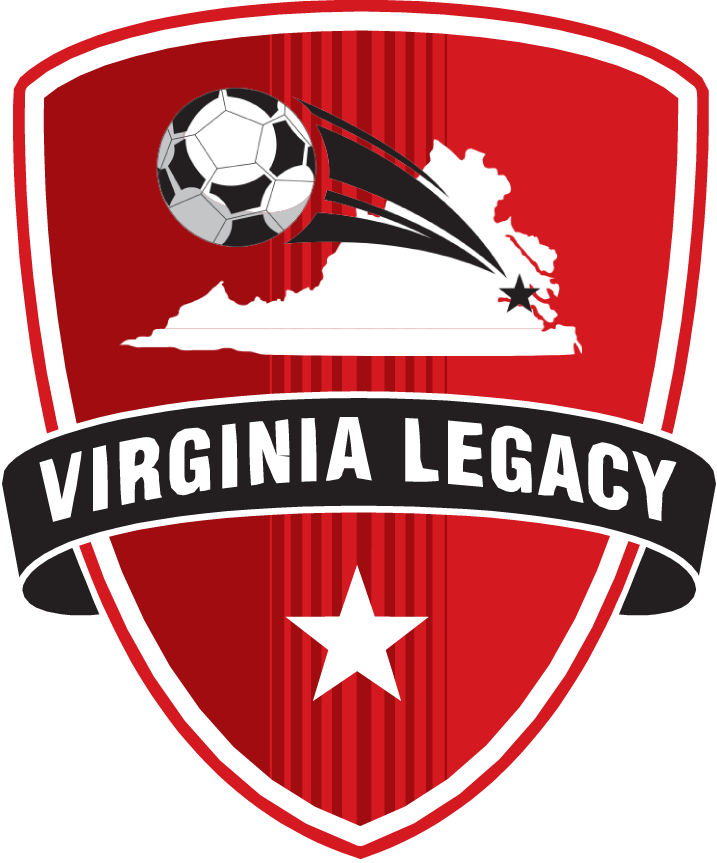 virginia legacy sc 2013-pres primary logo t shirt iron on transfers